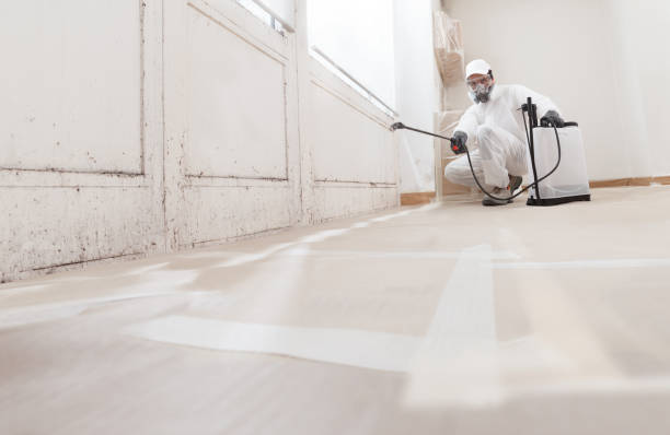 Trusted Mold Inspection service in Ridgefield Park, NJ - WQB Mold Removal