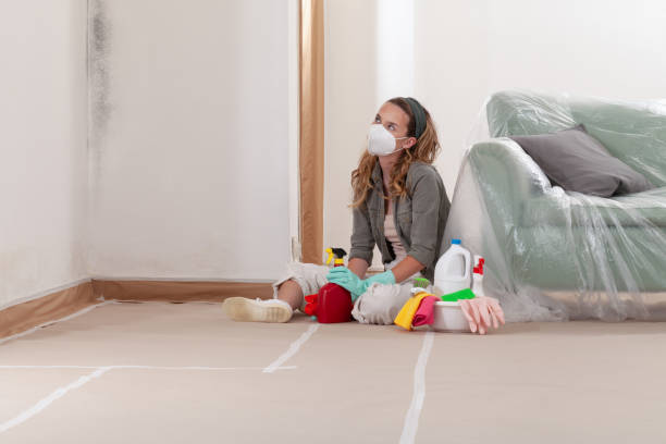 Reliable Mold Inspection contractor in Ridgefield Park, NJ by WQB Mold Removal